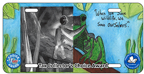 2024-2025 - 24-CH-MDP-001 - Meadow Park Elementary - Tax Collector Choice Award - License plate design showing a raccoon portrait in black and white pencil style with nature elements